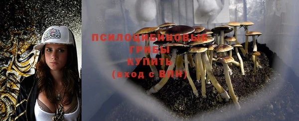 ГАЛЛЮЦИНОГЕННЫЕ ГРИБЫ Балабаново
