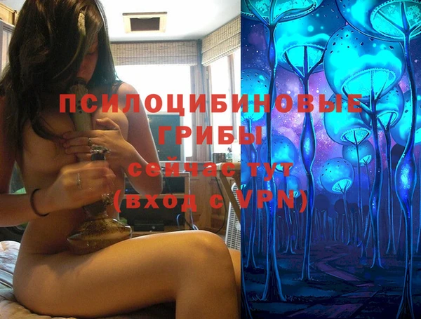 ПСИЛОЦИБИНОВЫЕ ГРИБЫ Бугульма