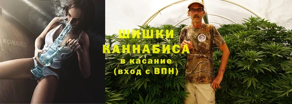 СК Бронницы